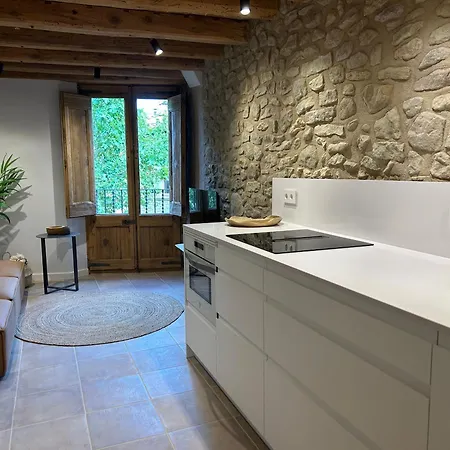 Cal Passacostes Cb Apartment Solsona Exterior photo