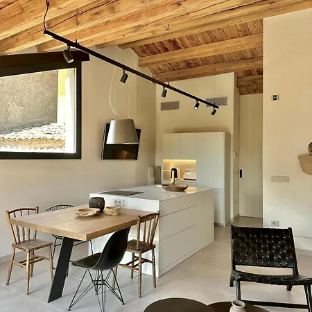 Cal Passacostes Cb Apartment Solsona Exterior photo